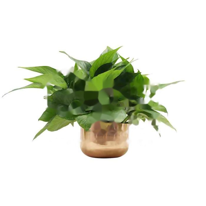 Copper Flowerpot GHECFP01006