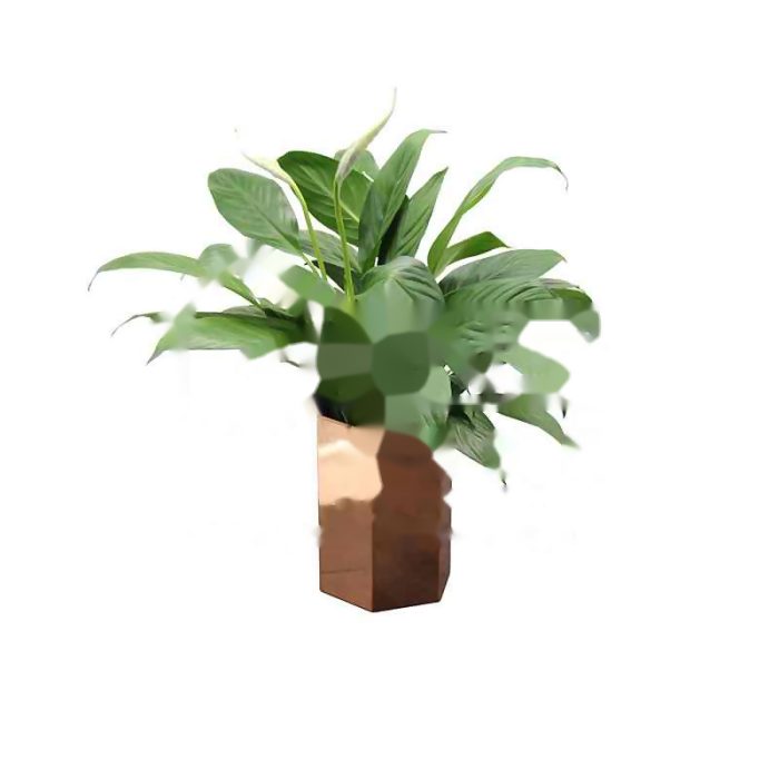 Copper Flowerpot GHECFP01015