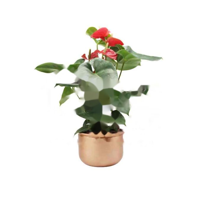 Copper Flowerpot GHECFP01016